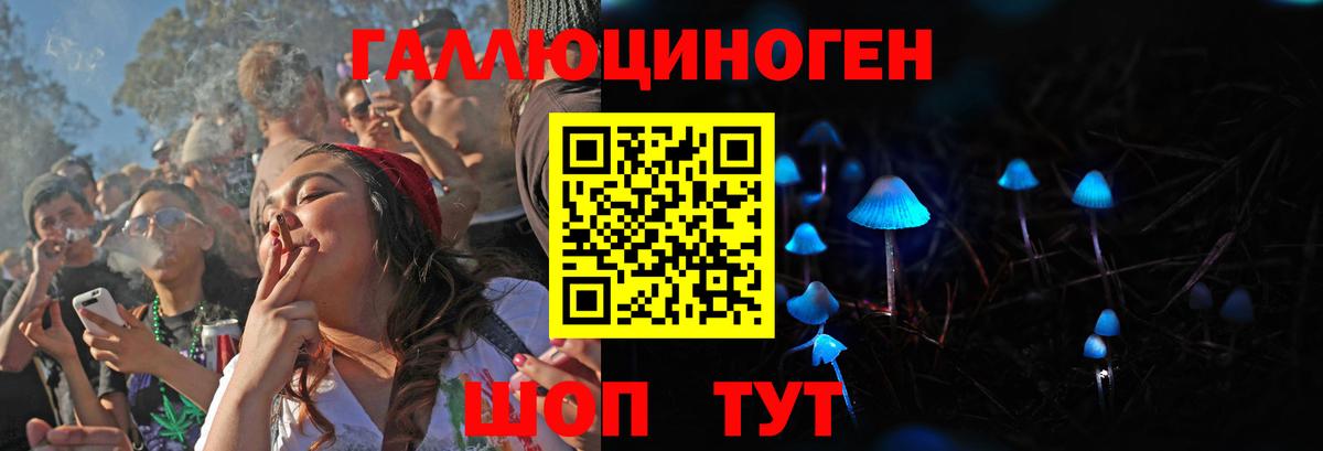 Галлюциногенные грибы GOLDEN TEACHER Мурманск
